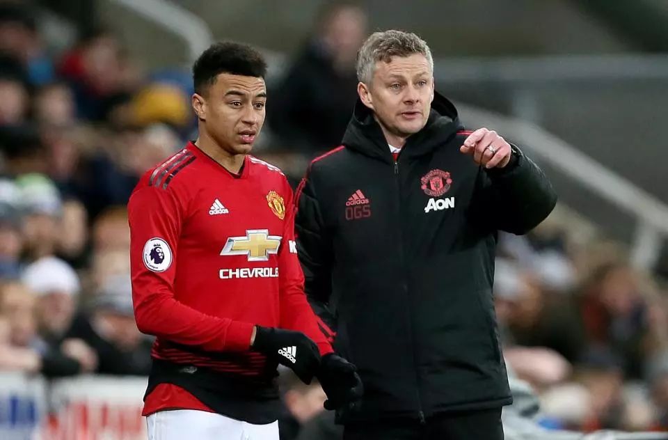 引发了对主 引发了对主